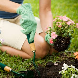 home-and-garden